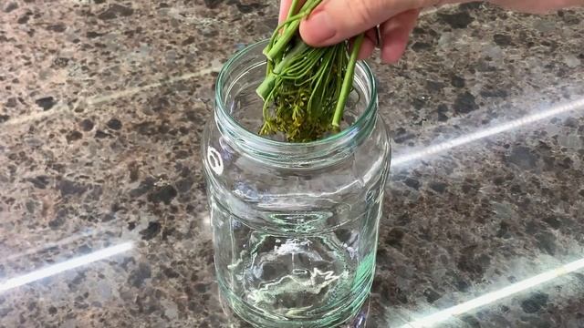 Закуска из маринованных слив с чесноком и пряностями смотреть онлайн