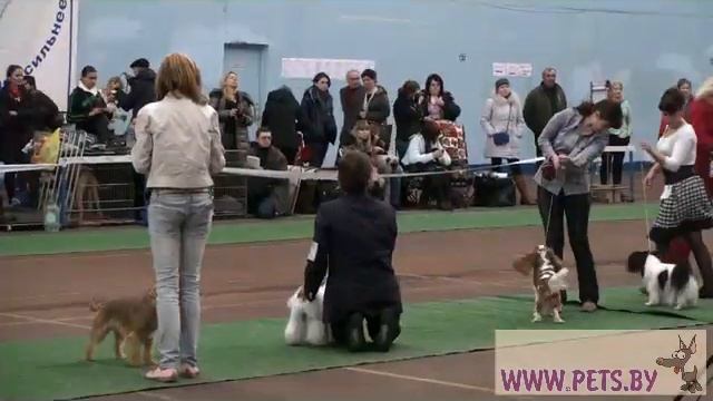 FCI-9.mp4 смотреть онлайн