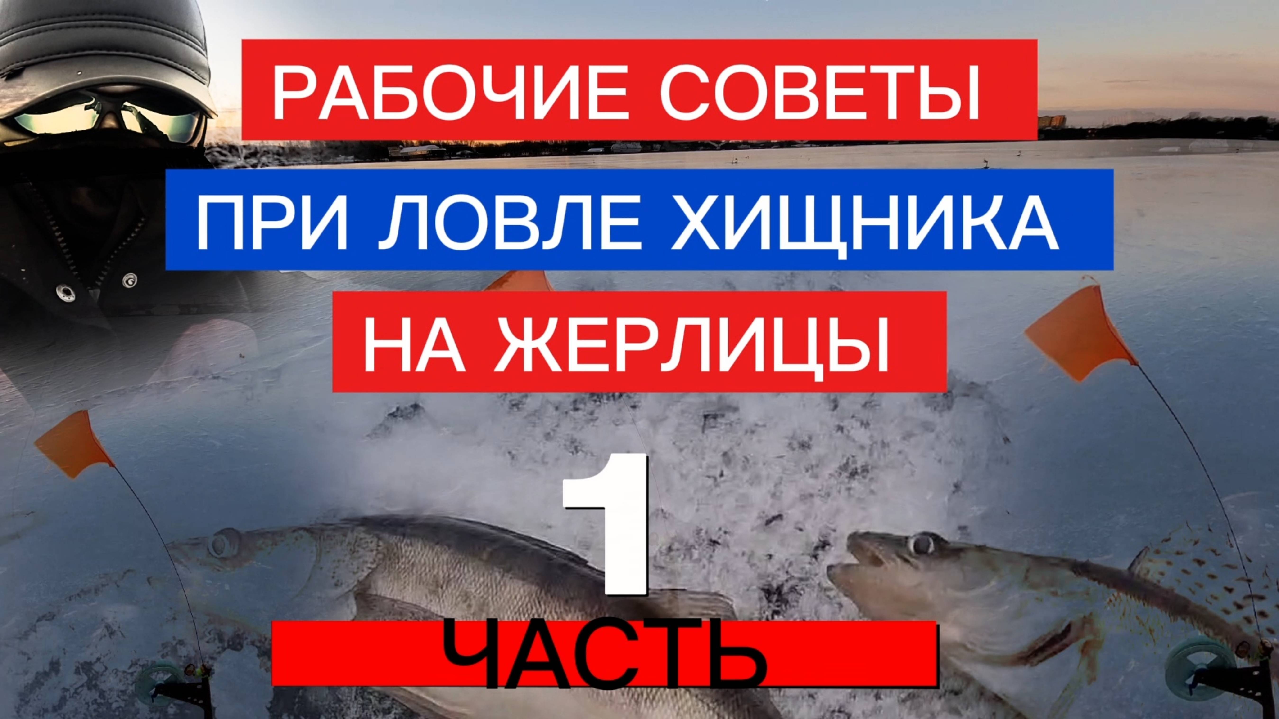 СОВЕТЫ по ЖЕРЛИЦАМ! ЛОВЛЯ на ЖЕРЛИЦЫ! смотреть онлайн