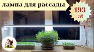 Лампа для рассады из Светофора за 193 рубля.