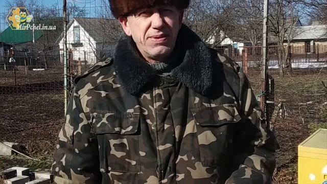 На пасеке 23 февраля смотреть онлайн