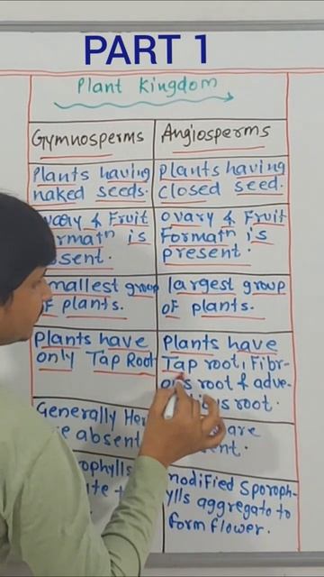 Exploring the Wonders of Plant Kingdom: #Gymnosperms vs. #Angiosperms / Part 1 смотреть онлайн