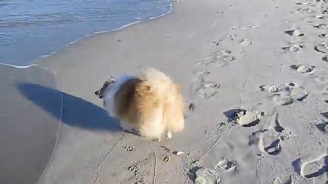 Feb 23, 2014 смотреть онлайн