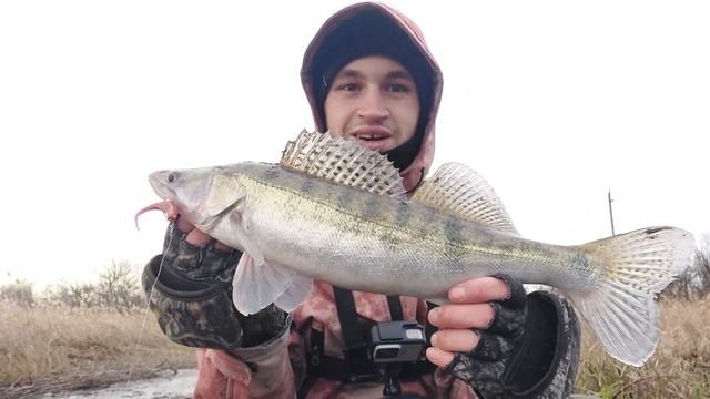 Попав на роздачу СУДАКА. Ловля річкового судака на відвідний повідець. Дністер смотреть онлайн