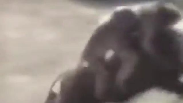 Всадник ( прикол) смотреть онлайн