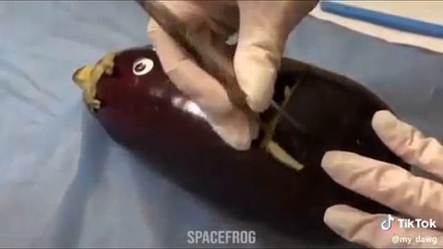 Вы думали это рофл, а пацанчик то реально умер 🤡👍 смотреть онлайн