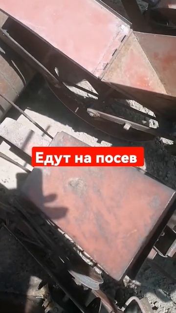 подготовка к посеву свёклы #огород смотреть онлайн
