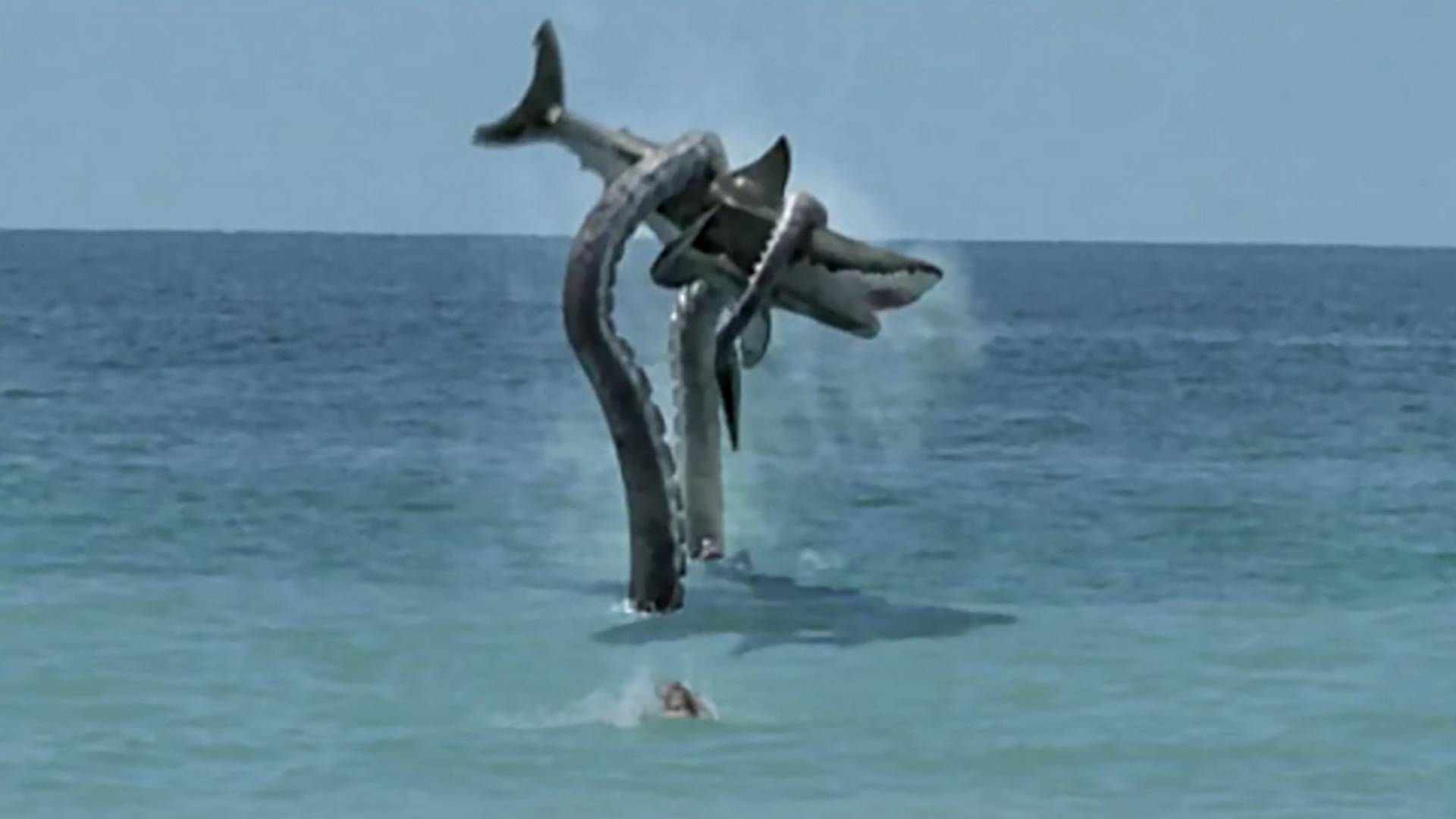 Гигантский осьминог атакует акулу! смотреть онлайн