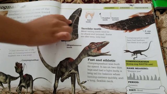 More Learning & reading about dinosaurs for kids Dinosaur Books | TRex - Kids book read aloud смотреть онлайн