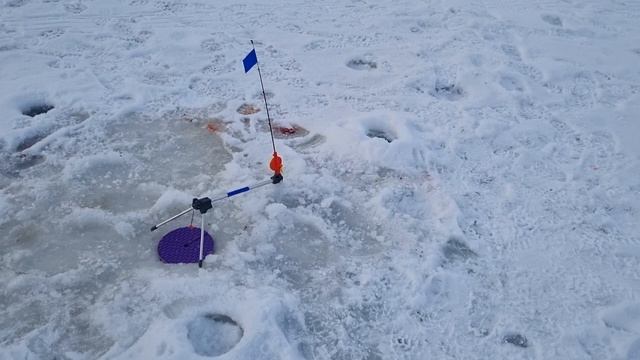 19-02-2025 смотреть онлайн