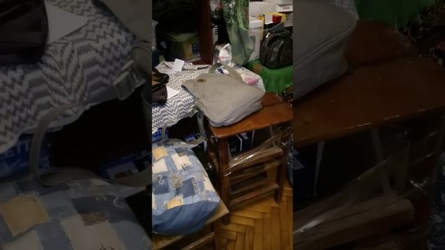 Сумчатый Ёж смотреть онлайн