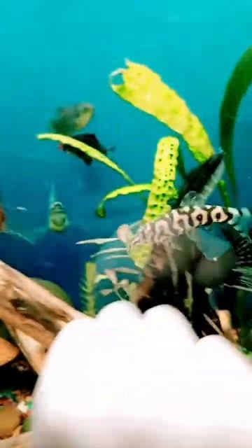 17 октября 2023 г. смотреть онлайн