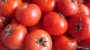 ЛУЧШИЕ СОРТА  ТОМАТОВ ДЛЯ ОТКРЫТОГО ГРУНТА . СОРТА ПОМИДОР