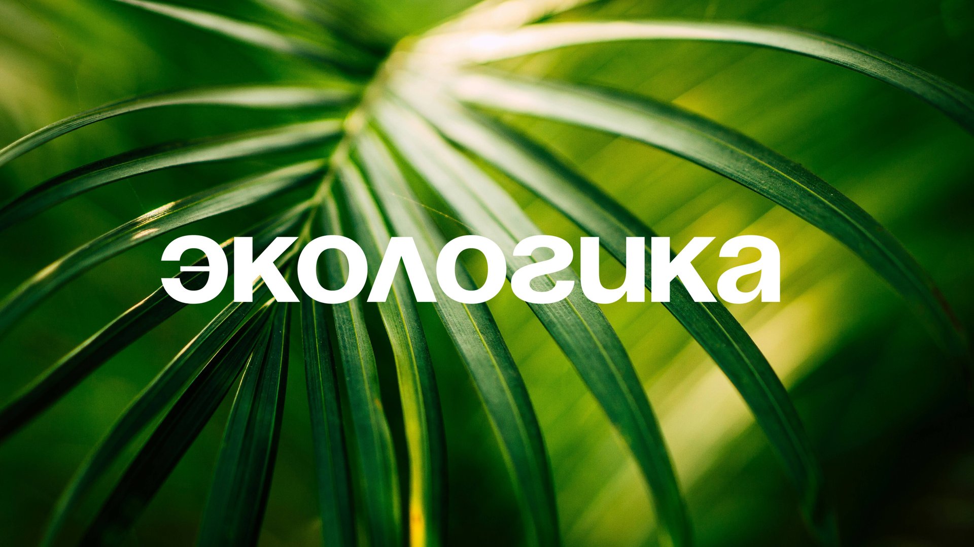 Что такое Экологика смотреть онлайн