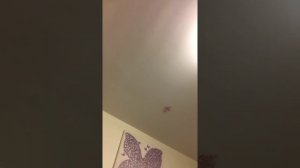 My night routine (Valerie Herrera)