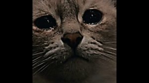 грусна Музика .