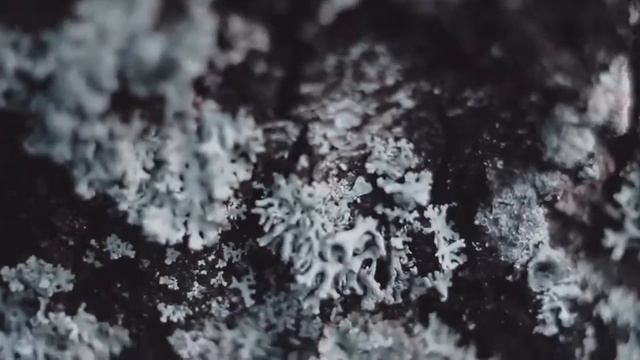 Ювелирная Мастерская B смотреть онлайн