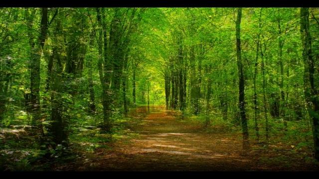 ИСЦЕЛЯЮЩИЕ ПЕНИЕ СОЛОВЬЯ КРАСИВОЕ ПЕНИЕ ПТИЦ УСПОКОИТ ВАШИ НЕРВЫ И УЛУЧШИТ ВАШ СОН смотреть онлайн