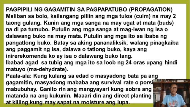 Bamboo Propagation Methods - DR. ERVIN T. LEONADOR, Cagayan State University Gonzaga смотреть онлайн