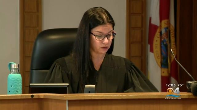 No Jail Time For Teen Who Set Cat On Fire смотреть онлайн