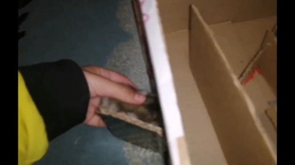 Сделала своими руками лабиринт для хомяка Локи😻