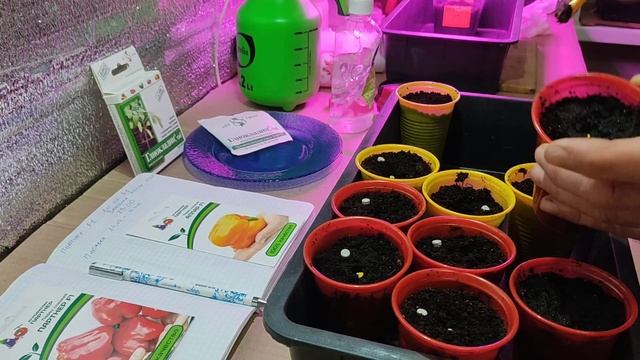 3 марта 2021 г. смотреть онлайн