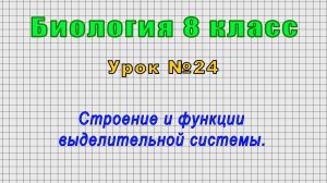 Биология 8 класс (Урок№24 - Строение и функции выделительной системы.)