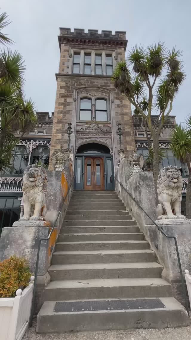 Ларнак Касл — ЗАМOК С ТАЙНОЙ! 🏰👻 #замок#замки#новаязеландия#путешествияповсемумиру#обзорзамка смотреть онлайн