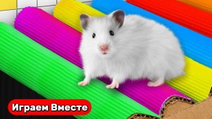 Приключения СМЕЛОГО ХОМЯКА ! Проходим вместе сложные ловушки ! Видео для детей