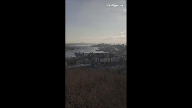 Владивосток 19 февраля 2025. смотреть онлайн