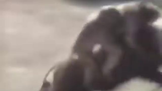 смешной кабан смотреть онлайн