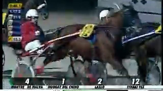 24/12/2012, Aversa , Premio Dei Botti смотреть онлайн