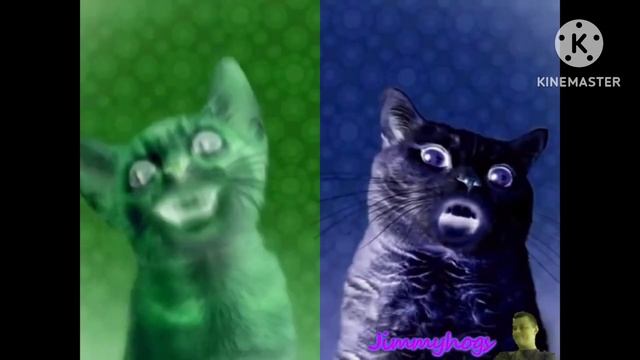 Preview 2 Numa Cat Effects 3 Lugi Group Split Mari Group смотреть онлайн