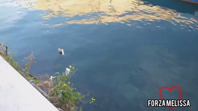 Spot per Raccolta Fondi alla piccola Melissa ❤️ смотреть онлайн