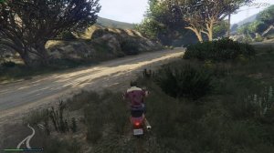 КАК ВОЙТИ В РЕЖИМ РЕЖИССЕРА В GTA 5