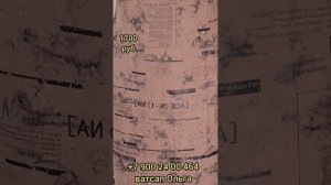 Большие размеры женской одежды