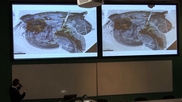 Cambrian bivalved arthropods and the origin of mandibulates смотреть онлайн