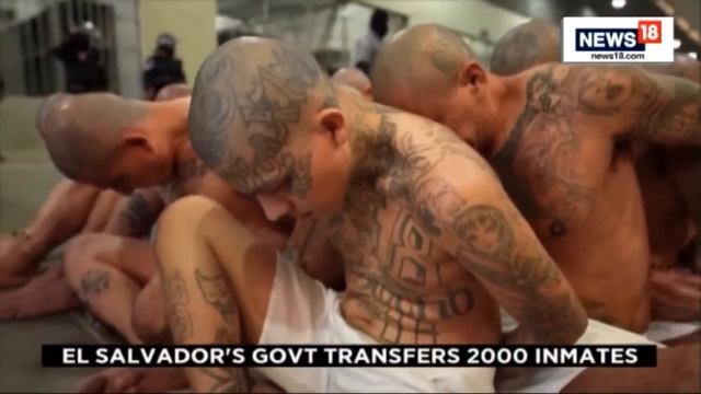 First 2000 Inmates Moved To El Salvador's New 'Mega Prison' | US News LIVE | English News | News18 смотреть онлайн