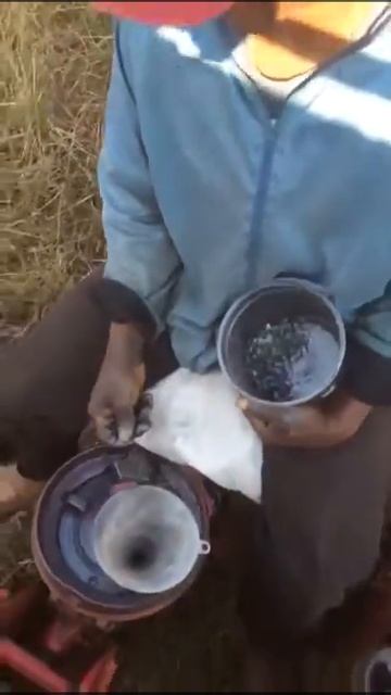 Посадка арбуза по ноу тилл 🇧🇷 смотреть онлайн