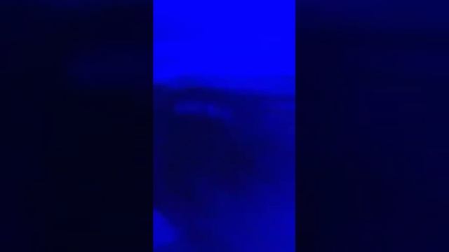 davidovich21 обнаженный кайф смотреть онлайн