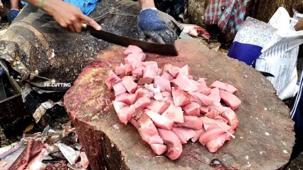 TUNA FISH CUTTING | AMAZING FISH CUTTING SKILL |IN KASIMEDU FISH MARKET |FF CUTTING 🔪🦈
