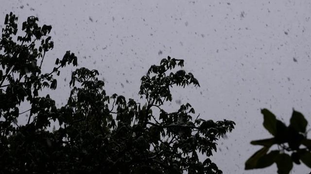 Сняг - 20-ти април 2022 смотреть онлайн