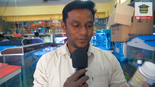 Cheapest aquarium | Unique Fish Collections | தனித்துவமிக்க மீன்கள் | Namma MKG | Beena Aquarium смотреть онлайн