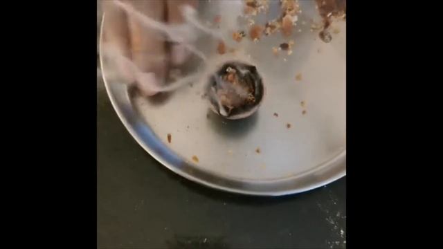 100% PURE LOBAN GUGGUL KUNDRU смотреть онлайн