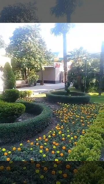 🌏 Лазаревское 16.05.23 (10) 👍 смотреть онлайн