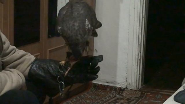 Нет погоды, познакомлю с Яной. смотреть онлайн