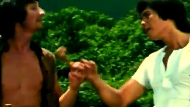 ФИЛЬМ КУНФУ - Змея в тени обезьяны / 1979 смотреть онлайн