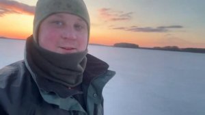 Охота на гуся в Архангельской области 19 мая 2024 г.