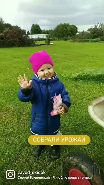 #урожай #дача #деревня #сима #дочамия #деткиконфетки #счастьеесть #мишака #мика #мия #микакика смотреть онлайн