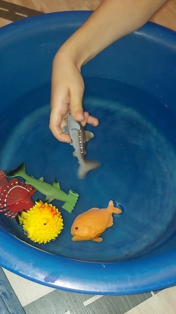 рыбы из Красного и Белого меняют цвет🤪🤪🤪 смотреть онлайн